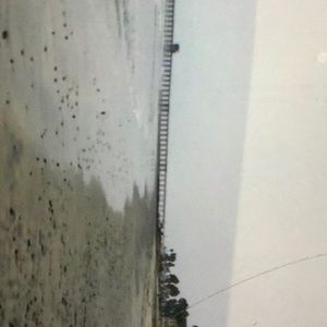 Meet your Posher, Gail